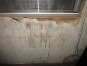 窓枠下の壁紙にカビが生えている様子