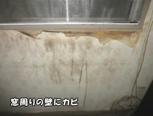 窓枠下の壁紙にカビが生えている様子