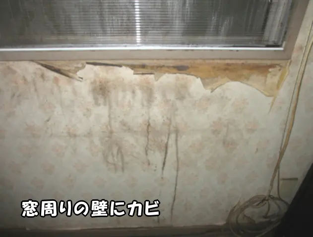 窓枠下の壁紙にカビが生えている様子
