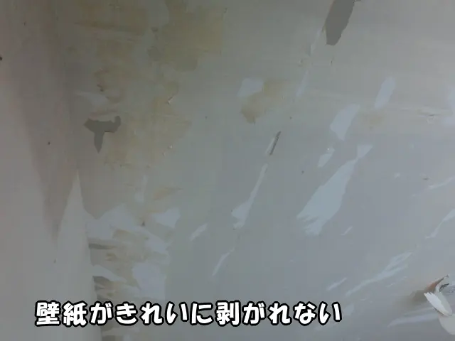 天井の壁紙がきれいに剥がれない状態